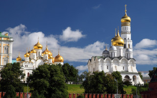 White gold building dome trees - a golden dome free wallpaper