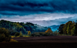 Field forest clouds matte painting - moody free wallpaper