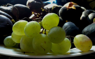 Grapes plate still life dark - other fruit free wallpaper