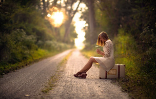 Woman suitcase flower outdoor forest - a suitcase free wallpaper