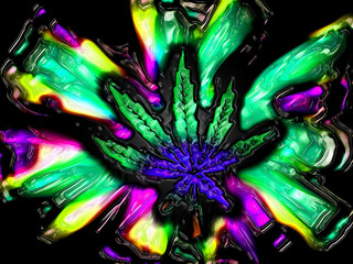 Colorful flower black background green - psychedelic free wallpaper