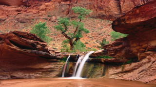 Waterfall canyon tree rockwall nature - a rock wall in the background free wallpaper