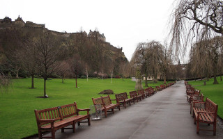 Wooden benches sidewalk lush park - a lush green park free wallpaper