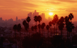 City skyline palm trees sunset 2 - cinematic landscape free wallpaper