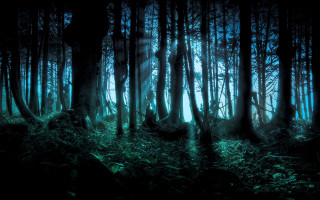 Forest light rays gothic matte - forest free wallpaper