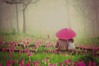 Couple under umbrella flower field - the foggy day free wallpaper