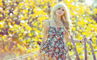 Woman floral dress fence field - a floral dress free wallpaper