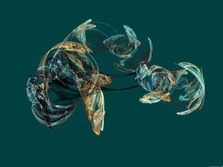 Fish turtle swimming together in - digital artwork free wallpaper