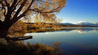 Autumn tree lake mountains boat - bob thompson free wallpaper