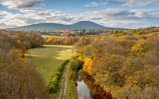 River forest hillside autumn bridge - fall foliage free wallpaper