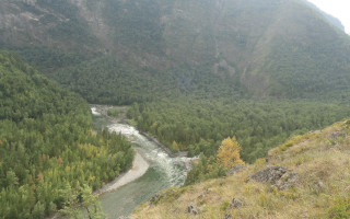 River forest mountain nature ecological - a mountain side free wallpaper