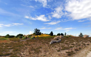Dirt road rock formation field - a dirt road in a field free wallpaper
