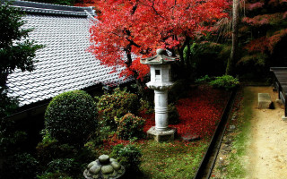 Garden pagoda red leaves bench - the background and a bench in the foreground free wallpaper