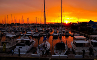 Marina sunset boats cityscape bridge - a marina free wallpaper