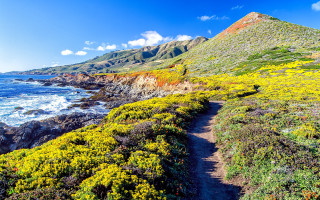 Coastal trail mountain flower sky - the side of the path free wallpaper