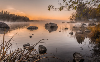 Lake rocks water fog trees - dawn free wallpaper