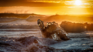 Bird rock water sunset waves - sunrise time free wallpaper