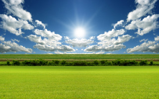 Sunny field forest horizon mountain - a bright sun in the sky above free wallpaper