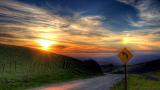 Dirt road sunset bird cityscape - a road sign free wallpaper