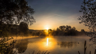 Lake sunset fog trees impasto - the background and trees free wallpaper