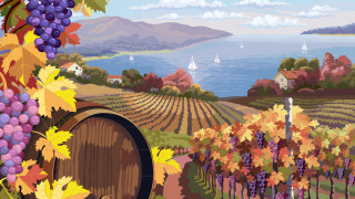 Vineyard ocean mountains barrel autumn - a view of the ocean and mountains free wallpaper