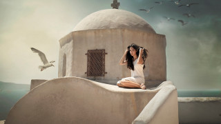 Woman ledge building bird cinematic - her head and a bird free wallpaper