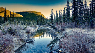 Small stream forest mountain sunset - a small stream free wallpaper