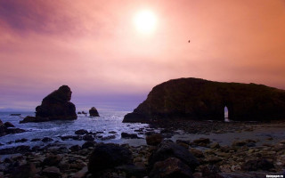 Sunset rocky beach bird matte - a sunset over a rocky beach free wallpaper