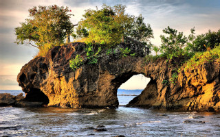 Rock tree shore ocean clouds - the ocean shore free wallpaper