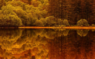 Lake trees forest autumn reflection - bob thompson free wallpaper