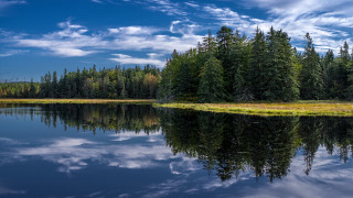 Lake trees grass blue sky 4 - alexander brook free wallpaper
