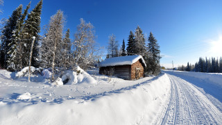Log cabin snowy road woods - the wood free wallpaper