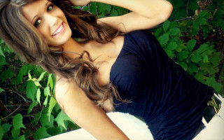 Aramenta vail wind blowing forest - the wind free wallpaper