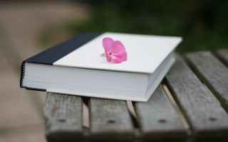 Book pinkflower bench sunny blurry - book cover free wallpaper
