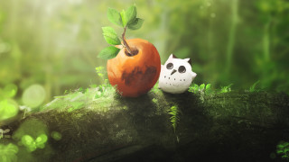 White cat orange apple forest - a tree branch in a forest free wallpaper