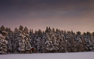 Snowy cabin forest autumn sunset - a pink sky free wallpaper
