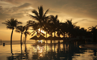 Sunset pool palm trees beach - arthur pan free wallpaper