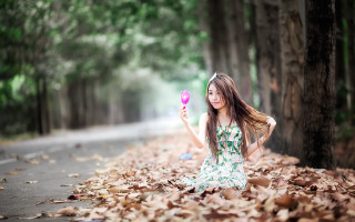 Woman pink object tree beach - the ground holding free wallpaper