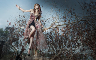 Woman dress tree branch bird - her hand and a bird free wallpaper for desktop