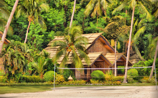 Beach volleyball court palm trees - hdr free wallpaper