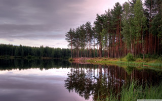 Lake forest sky mountains nature 2 - tall tree and grass free wallpaper