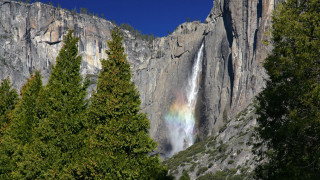 Rainbow waterfall forest mountains nature - a rainbow free wallpaper