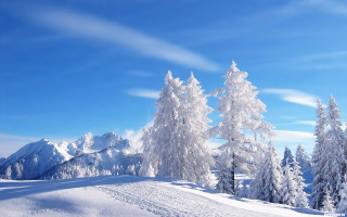 Snowy landscape mountains trees blue - a snowy landscape free wallpaper