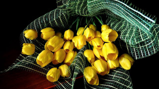 Yellow flowers table green net - top of a table next free wallpaper