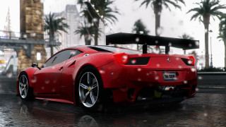 Red sports car rain palm - the background and a sign free wallpaper