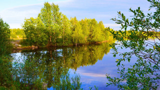 River trees clouds park bench - a few green tree free wallpaper