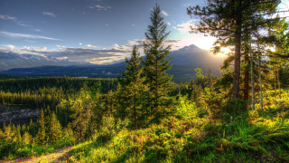 Mountain range trees grass sunbeam - a scenic view of a mountain range free wallpaper