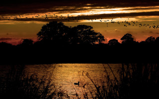 Birds lake sunset mountain city - over a lake free wallpaper