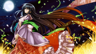 Woman dress field moon fireflies 3 - a field of grass free wallpaper