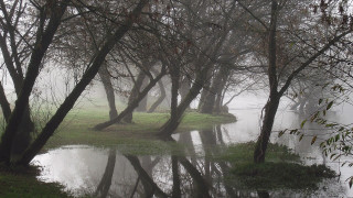 Pond foggy day bench trees - a pond free wallpaper for desktop